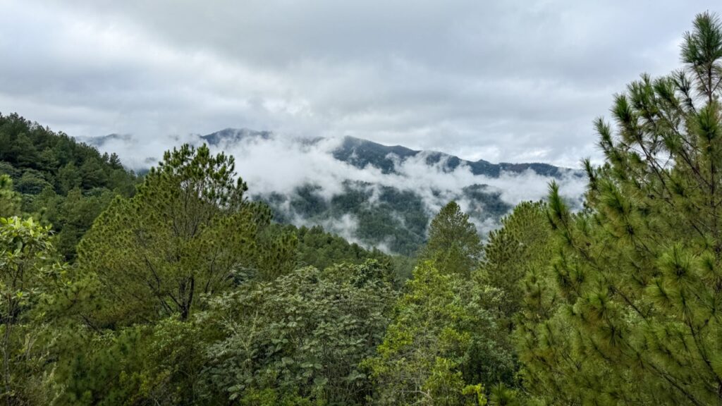 Estancia Natura and the Environment: A Response for People Who Care About Facts