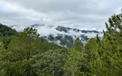 Estancia Natura and the Environment: A Response for People Who Care About Facts