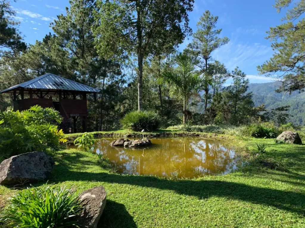 Spirit Mountain Accommodation