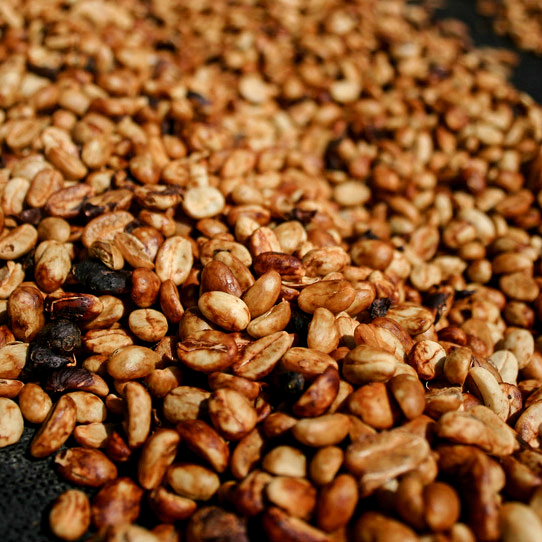 Pulped Natural / Red Honey