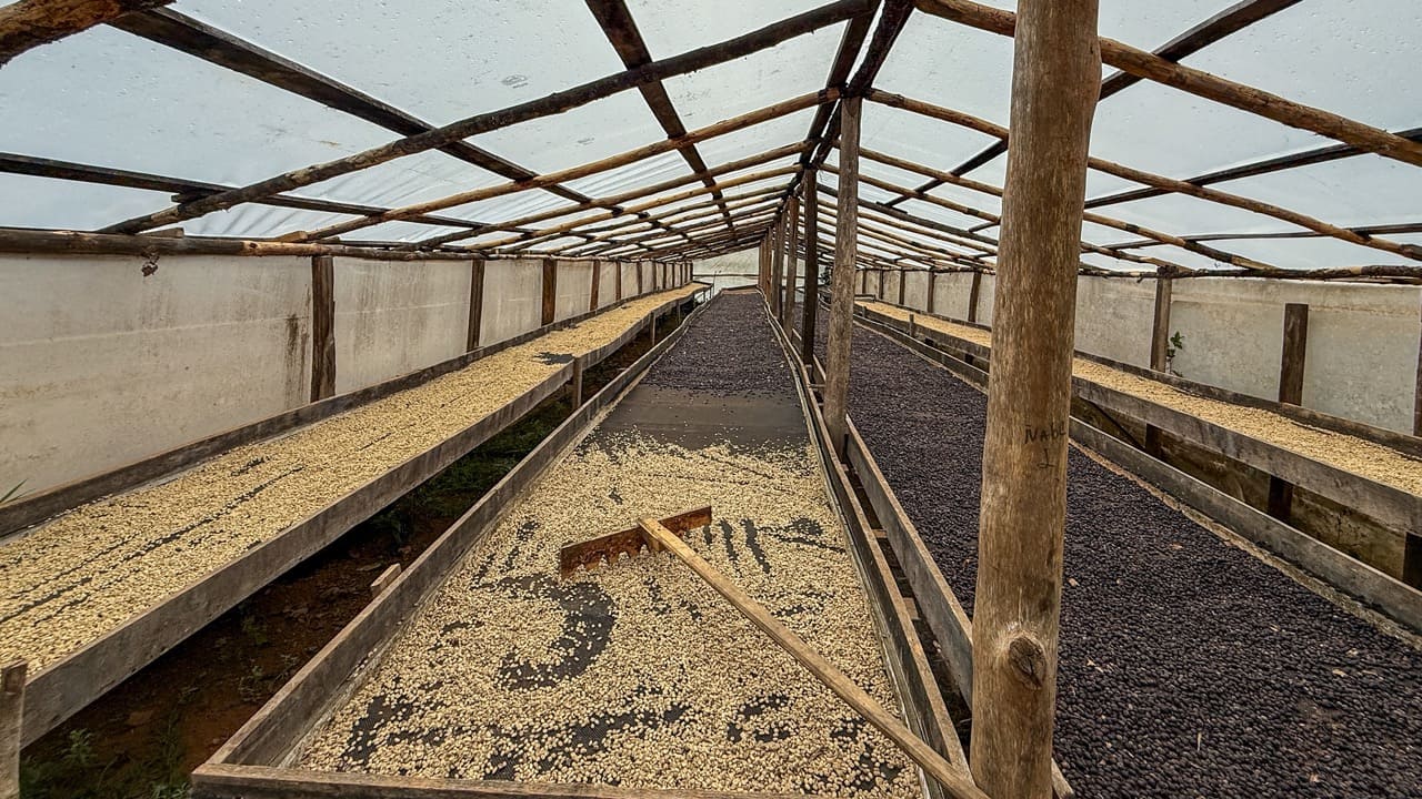 Spirit Mountain Farm