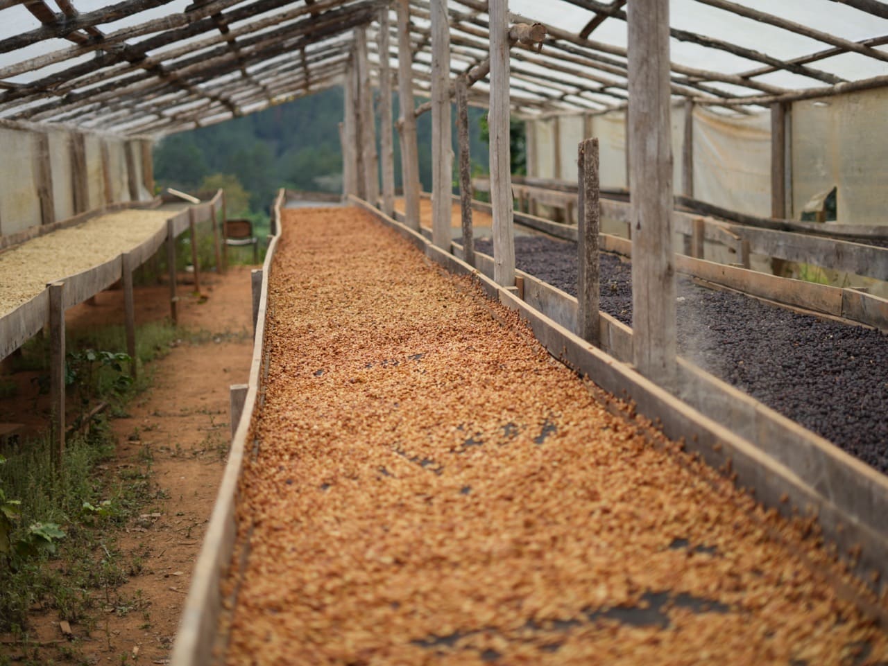 Spirit Mountain Farm