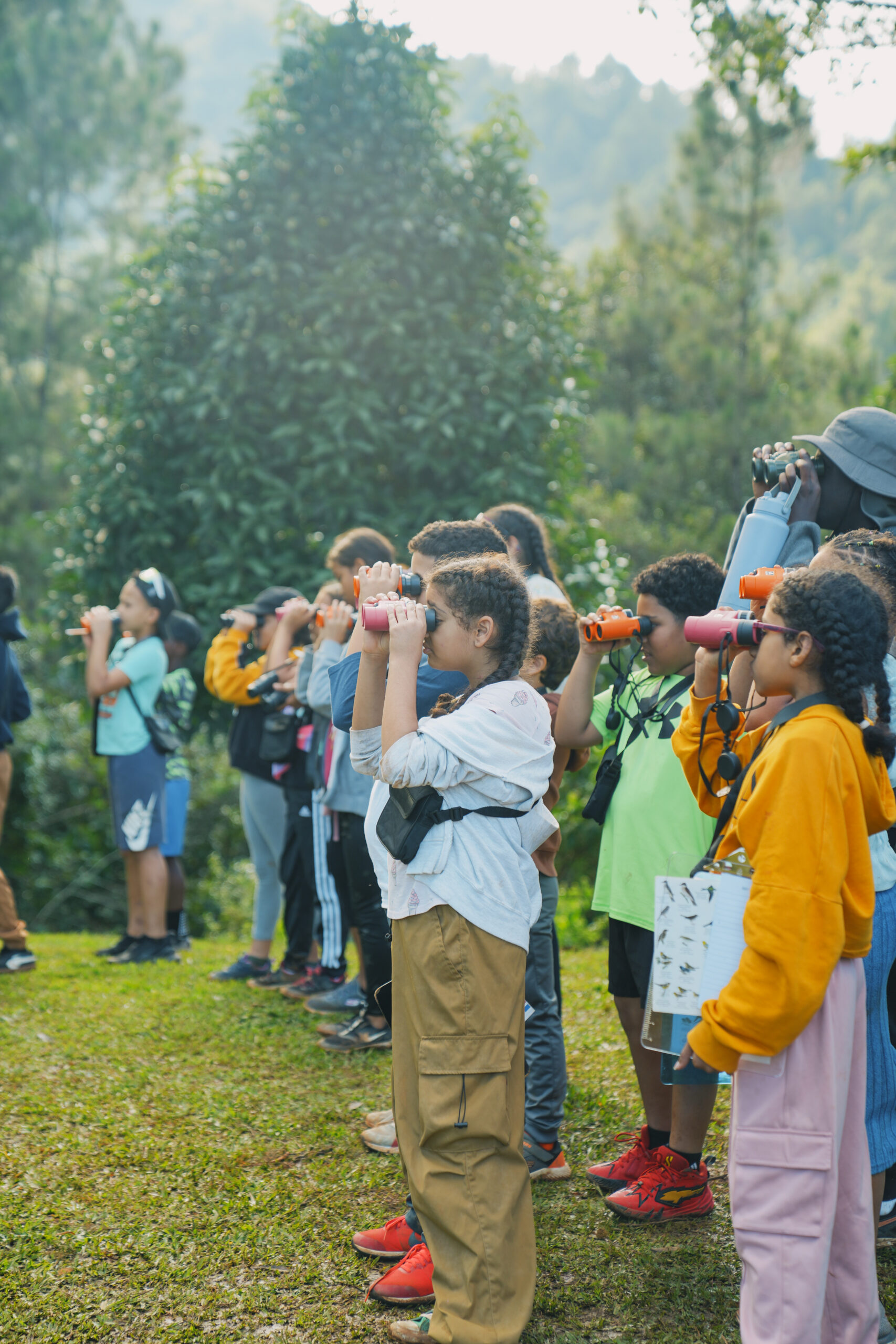School Groups: Learning Beyond the Classroom