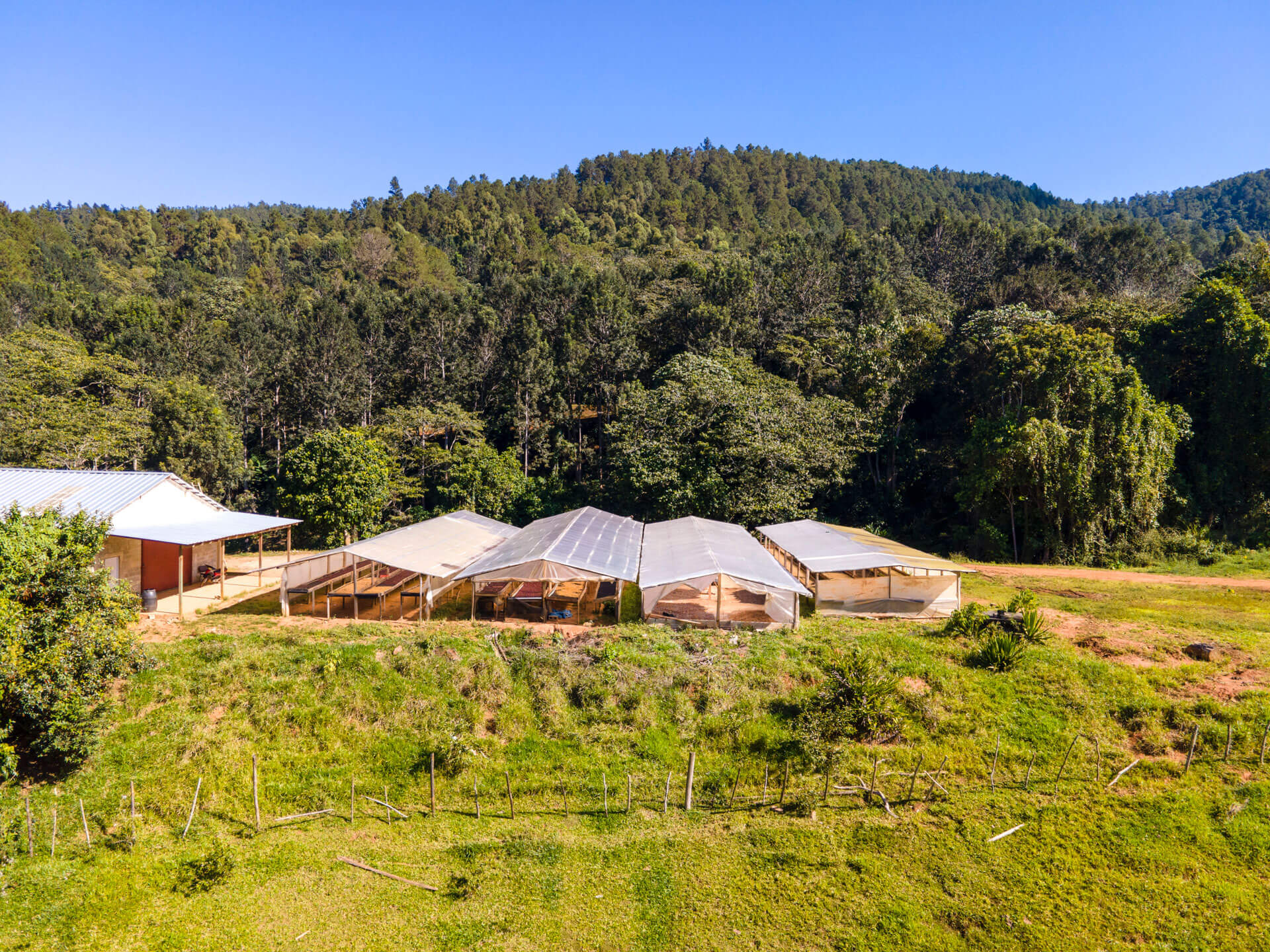 Spirit Mountain Coffee Farm