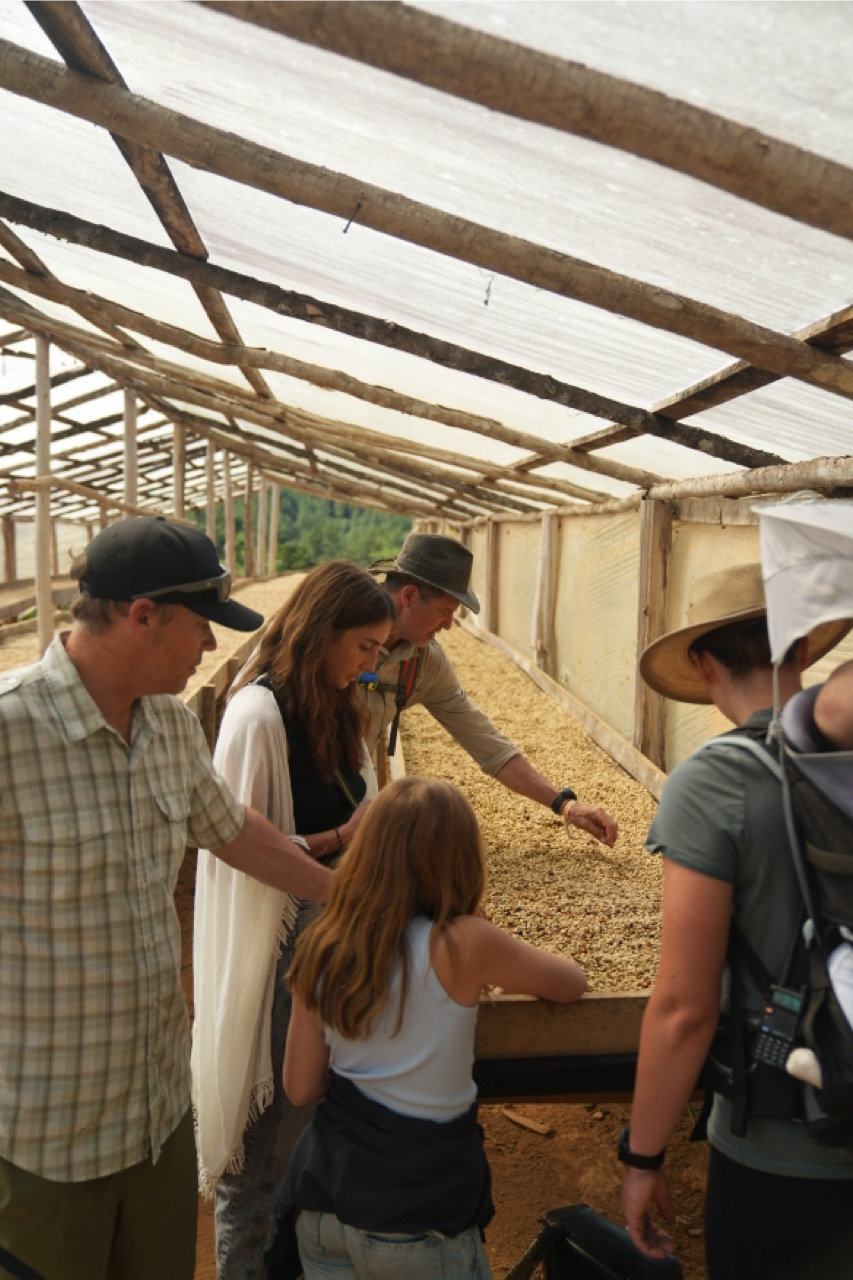 Guided Coffee Tours