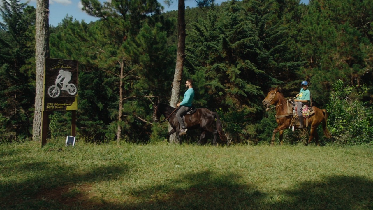 Horseback Riding