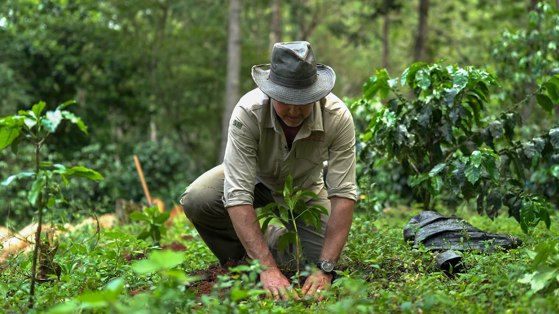 Farm to Cup